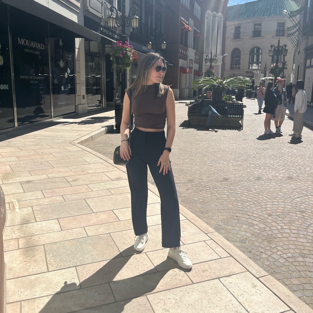 Aritzia effortless pants